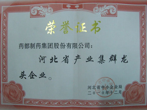 河北省产业集群龙头企业