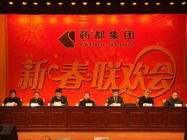 热烈庆祝药都集团2008年度总结表彰大会暨2009年迎新春联欢会圆满结束