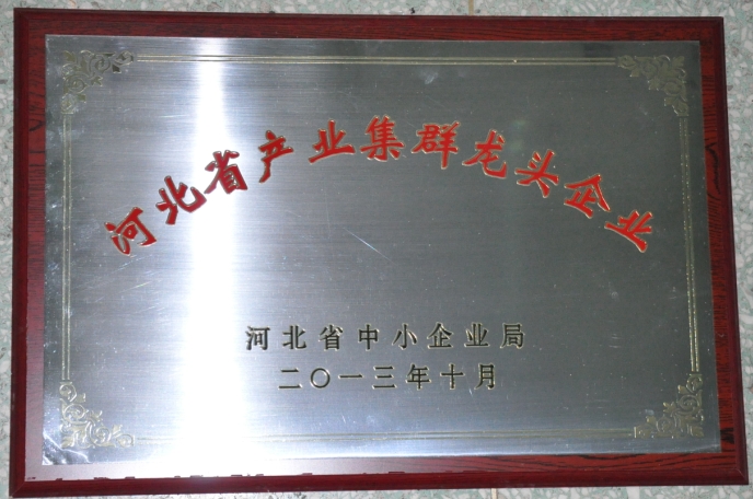 药都集团被评为“河北省产业集群龙头企业”