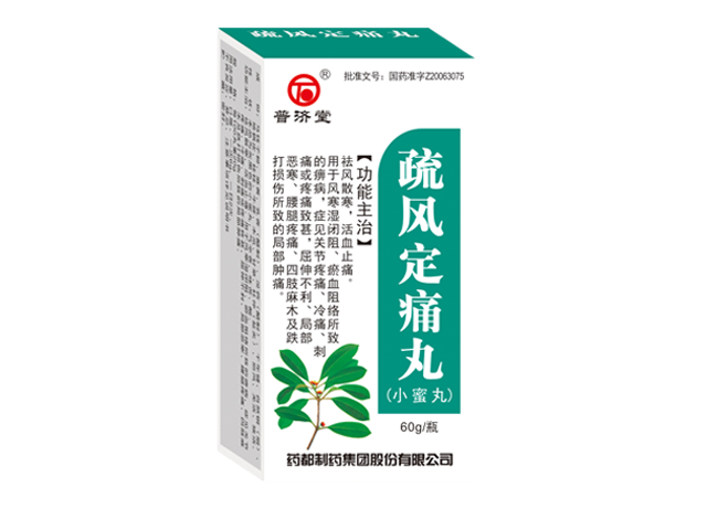 疏风定痛丸小蜜丸60g.png